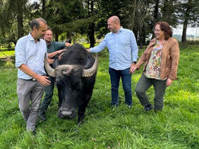 Vier Menschen stehen mit einem Wasserbüffel auf einer Wiese.