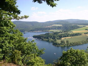 Der Edersee zwischen Wiesen und Bäumen.